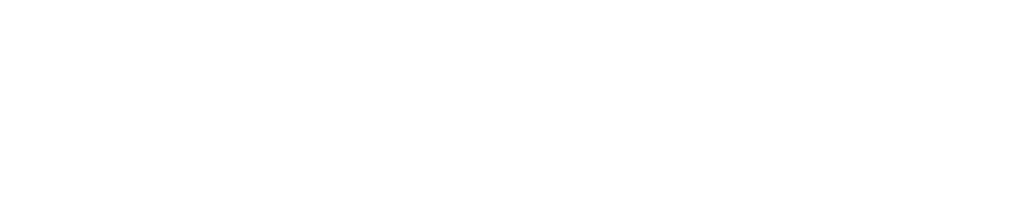 Mariana Penilla | Novias
